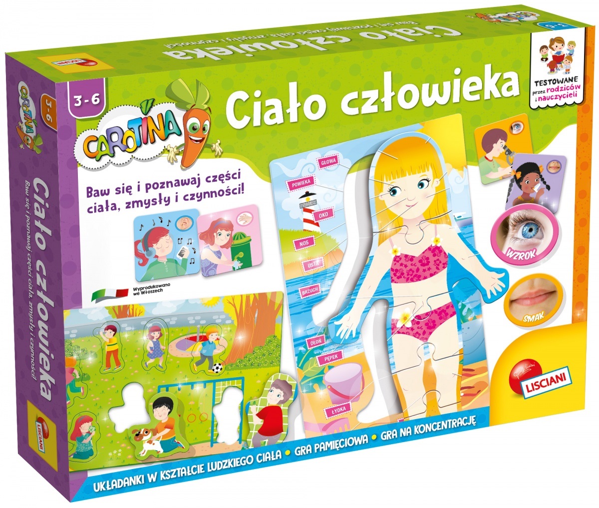 ciało 5 ciało człowieka